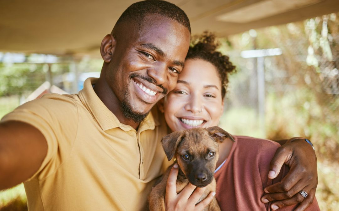 Embracing a New Companion: Timing the Addition of a New Pet to Your Life