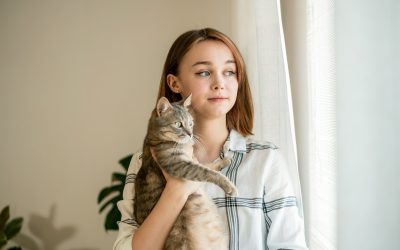 The Dynamics of Dog People vs. Cat People: Fostering Mutual Understanding